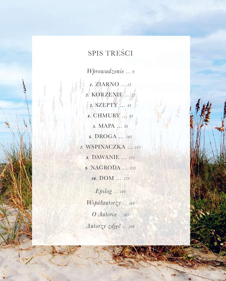 Przetarta-sciezka odkrywanie kierunku spis treści ksiazki w antykwarait ksiazki uzywane Szczecin