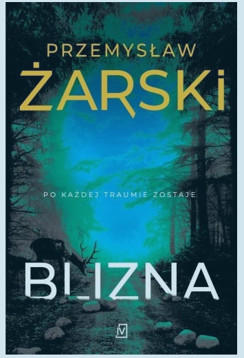 blizna okladka ksiazki w antykwariat ksiazki uzywane Szczecin